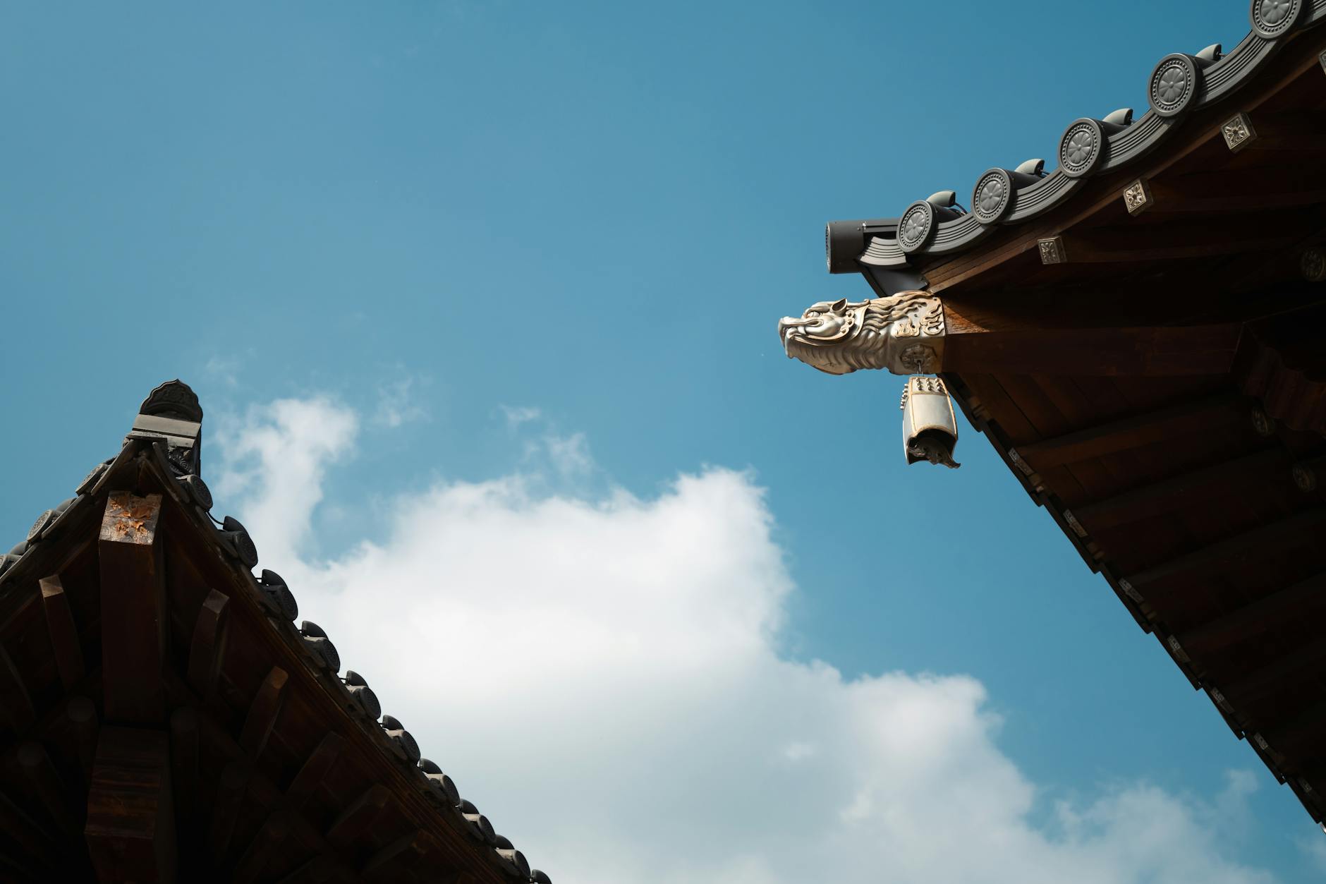 FIRB 申请中文件翻译的常见问题与认证要求