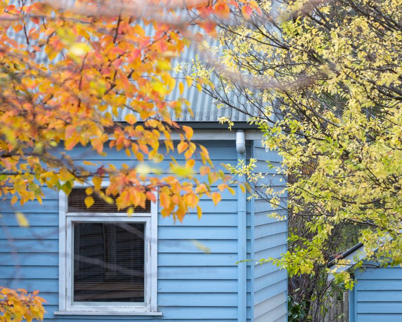 A blue house surrounded by vibrant autumn leaves in Macedon, VIC, Australia.